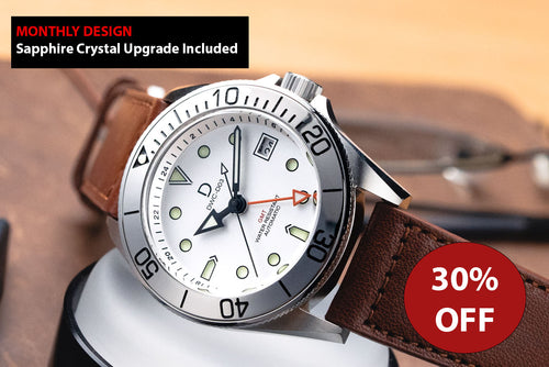 [MONTHLY DESIGN] Silver GMT Dive Watch Kit | Seiko NH34 Dive Watch | Brown Leather Strap| DWC-D03