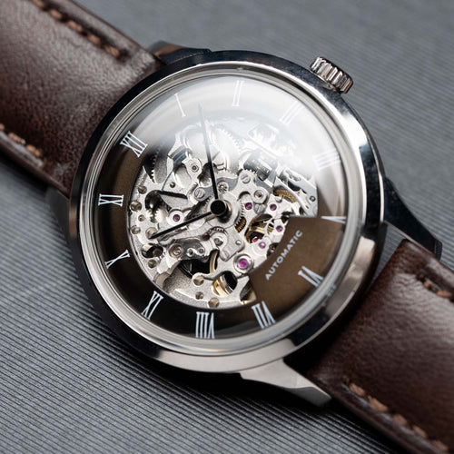 Skeleton Watch - watchmaking kits – DIYWATCH Club
